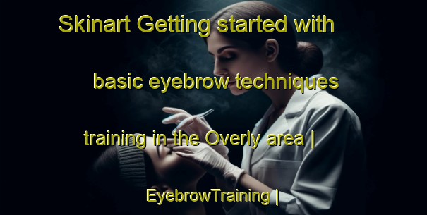 Skinart Getting started with basic eyebrow techniques training in the Overly area | EyebrowTraining | EyebrowClasses | SkinartTraining-United States